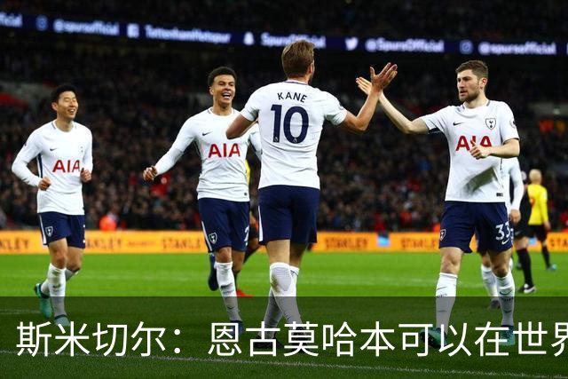 斯米切尔：恩古莫哈本可以在世界杯改变局势，但他能参加下一届